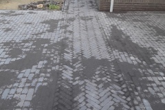 steenbergen-8