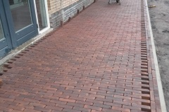 steenbnergen-2